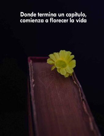Corazones fotográficos