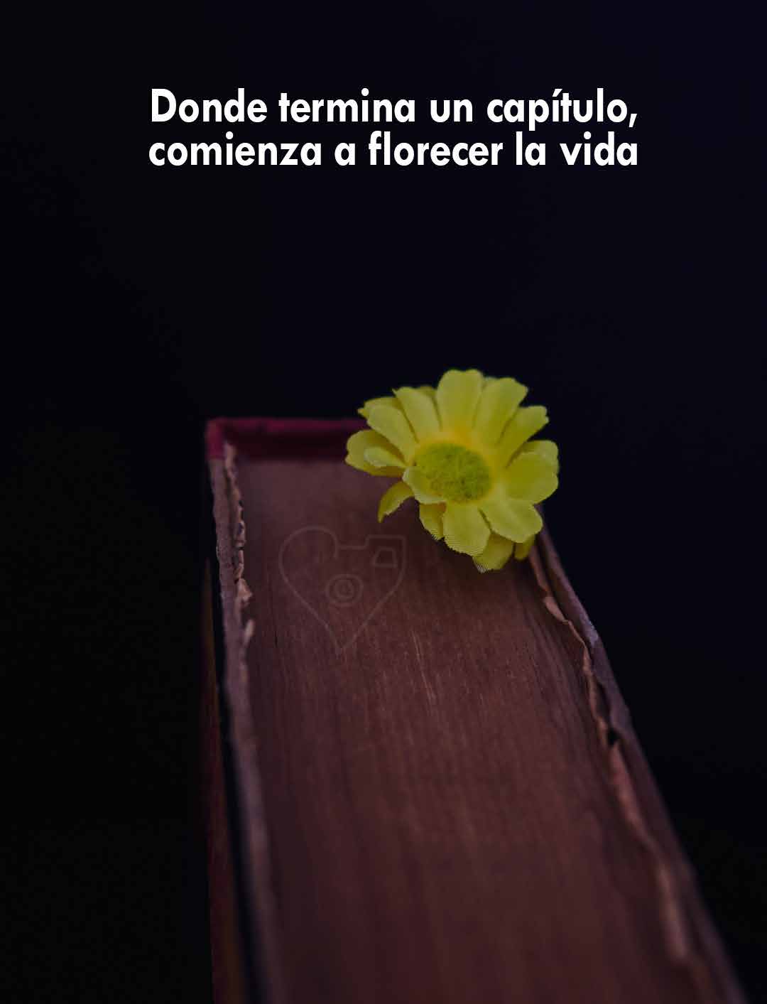 Corazones fotográficos