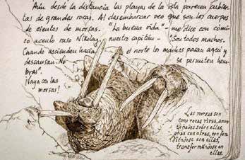 Imagen 1 de La Alegría de Vivir