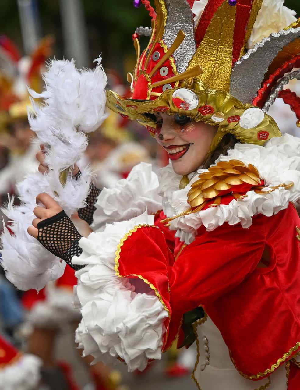 Detalle de un traje del Carnaval Internacional